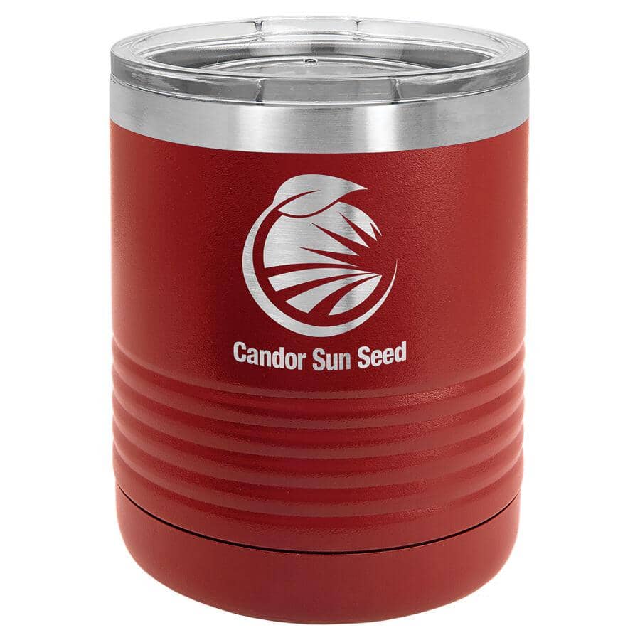 Polar Camel 10 oz. Stainless Steel Travel Mugs